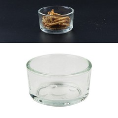 4Pcs Reptile Feeder Bowls Durable Transparent Glass Pet Food Water Bowls