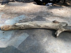 All natural Large Driftwood Log, 23” x 4 “ for Aquarium or Birdcage