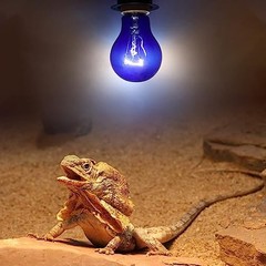Aiicioo Dimmable Reptile Heat Lamp -40 Watt Daylight Blue Reptile Bulb (2*2Pack)