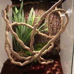 Flexible Terrarium Reptile Jungle Vines Bendable Decor Accessories 3.3ft Long