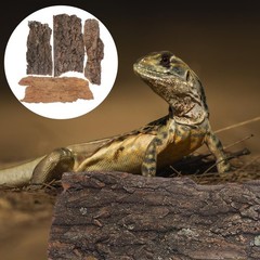 IMIKEYA 4Pcs Reptile Tree Bark Hides: Natural Wood Cork Light Brown