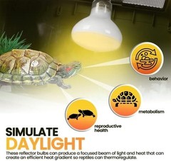 4-Pk 100W Reptile Heat Lamp Bulbs UVA Daylight Basking Light Bulbs for Reptiles