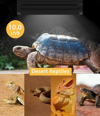 T5 UVB Reptile Light Fixture Combo Kit – 12 Inch 8W Terrarium Hood 10.0 UVA UVB