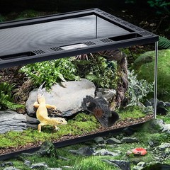 Resin Reptiles Hollow Tree Trunk Terrarium Desert Decor Cave for