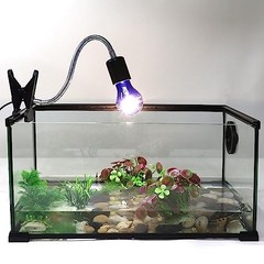 Aiicioo Dimmable Reptile Heat Lamp -40 Watt Daylight Blue Reptile Bulb (2*2Pack)