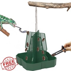 Jwizyotr Chameleon Feeder Medium
