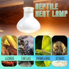 2 Pack Reptile Uvb Uva Heat Lamp Bulb For Reptiles Truly Sun-Like Bright8724