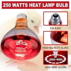 6 Pack 250W Infrared Heat Lamp Bulbs for Chickens, Pets, Light Therapy, Brooder