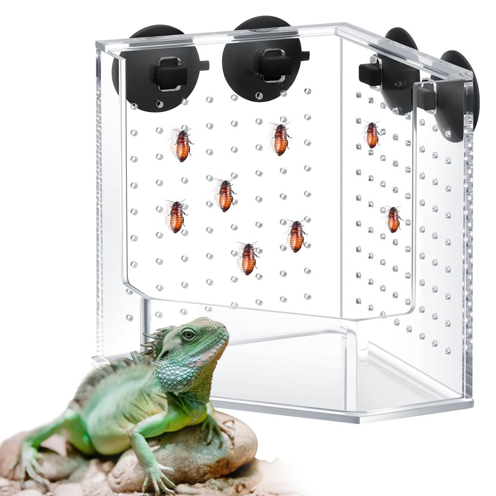 Weysat Reptile Corner Feeder Box Acrylic 4 Suction Cups