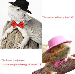 2PCS Valentine’S Day Bearded Dragon Lizard Hat and Bowtie Reptile Black Hat with