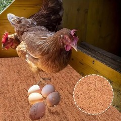 Reptile Tortoise Carpet Natural Coconut Fiber Mat Chicken Nesting Box Pads Hens