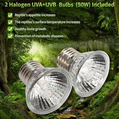 8pcs UVA+UVB 75W Reptile Heat Basking Light Bulb Lamp For Tortoise Lizard Turtle