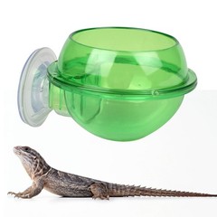 1Pcs Reusable Small Pet Feeding Bowl Green ABS Durable Turtle and Lizard Feeder