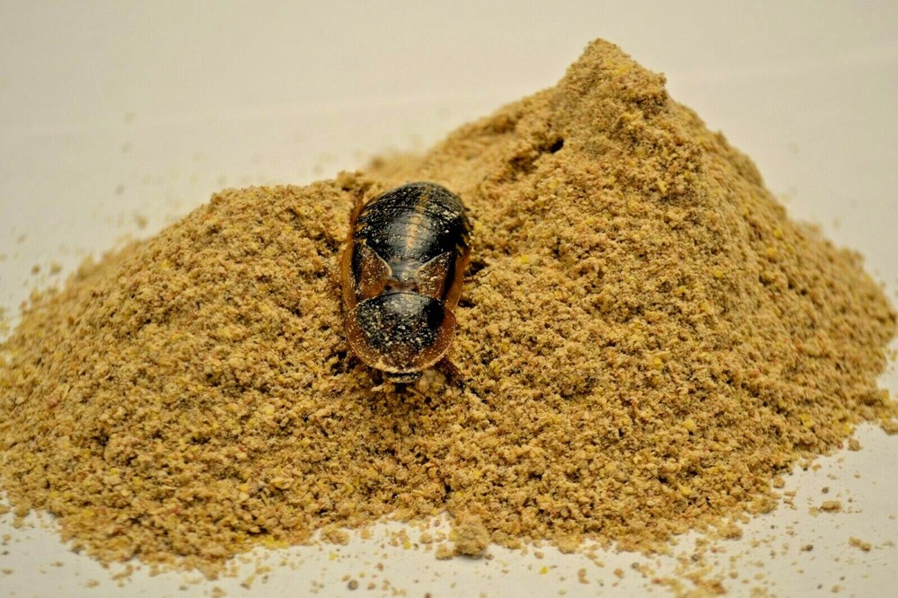 Premium Cricket/Roach Chow High Calcium/Balanced Protein by Five-Star Feeders
