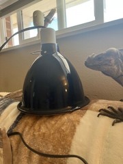 Fluker’S Sun Dome Reptile Lamp – Deep Dome Fixture, Black, 8.5-Inches (27003)