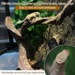 Reptile Decor 8PCS Natural Forest Branch Terrarium Habitat Decoration Lizard Cli