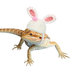 Bearded Dragon Bunny Hat for Easter – Hand Knitted Small 1.5″ x 2.4″, White