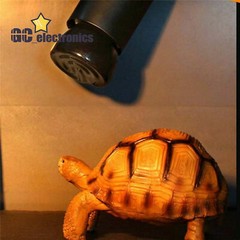 Sun Infrared Emitter Heating Lamp AC110V 220V Brooder Light Reptile Bulb A3GS