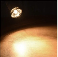 75W Basking UVA+UVB Heat Bulbs for Reptiles&Amphibians Turtle Heating Lamp E2…