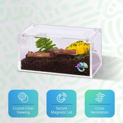 Acrylic Tarantula Enclosure Terrarium for Scorpion Jumping Spider 1 PCS