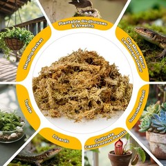 RAINFLOW Sphagnum Moss for Reptiles – 5.6 OZ Reptile Peat Terrarium…