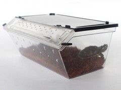 Reptiles-Planet Aufzuchtbox Premium 9 3/8×6 1/2×4 1/8in – Easy Airy – Stackable