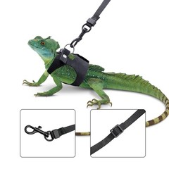 Bearded Dragon Harness and Leash Set, 3 Size Adjustable Soft Leather Reptile …