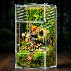 Jumping Spider Enclosure – Acrylic Terrarium Habitat for Spiders, Tarantulas