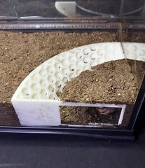 Hermit Crab Tank Decor Corner Underground Hideout Cave Hide Decoration Supplies