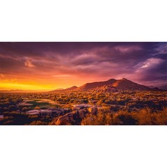 AWERT 48×18 inches Sun and Desert Terrarium Background Mountain Oasis Gobi Re…