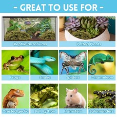 7 OZ Premium Sphagnum Moss for Reptiles 10QT Natural Live Moss Reptile Moss B…