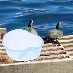 Turtle Cage Aquarium for Turtles Pet Supplies Small Reptile Tank