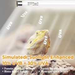 2 Pack T5 HO 10.0 UVB Reptile Bulb 24W, 22-Inch UVA UVB Light for Reptiles, F…
