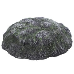 Turtle Platform Aquarium Basking Turtles Reptiles Tortoise Floating