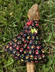 Bearded dragon Dress