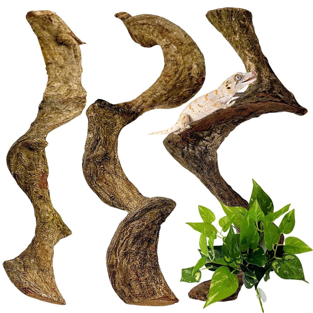 BNOSDM 3PCS Natural Reptile Climbing Branches Decor,0.8-1.2″ Thick Snake Clim…