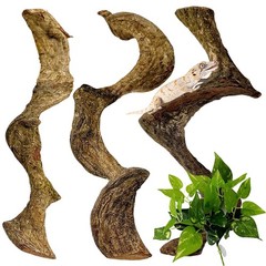 BNOSDM 3PCS Natural Reptile Climbing Branches Decor,0.8-1.2″ Thick Snake Clim…