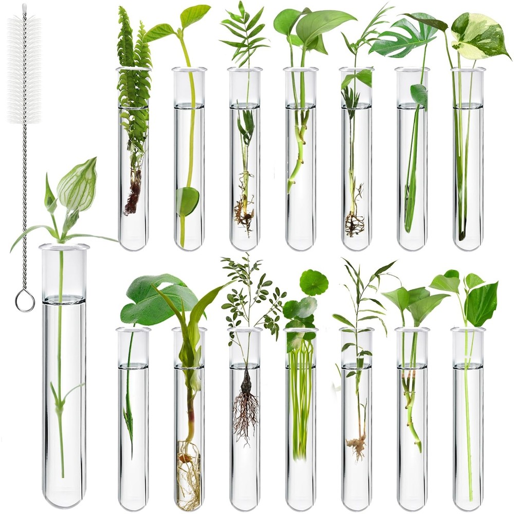 15Pcs Clear Test Tubes for Plant, 20ml Plant Propagation Tube with Brush, Pla…