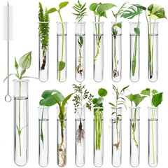 15Pcs Clear Test Tubes for Plant, 20ml Plant Propagation Tube with Brush, Pla…