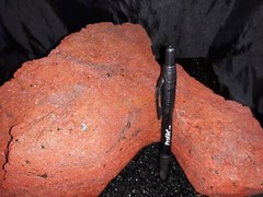 Reptile snake lizard fish aquarium Rock cave