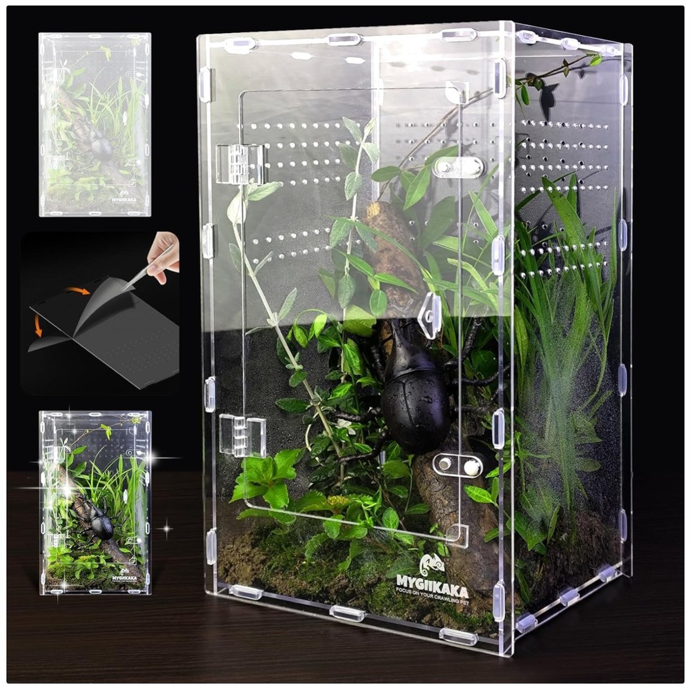 Large Acrylic Tarantula Enclosure – Easy Installation.