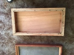 10 gallon Antique Display Terrarium