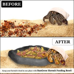 Black Leopard Gecko Water Bowl Hermit Crab Bathing Pool 5 x 5.5 Inch