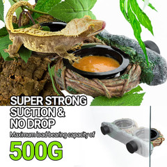 Magnetic Reptile Feeding Ledge, Gecko Feeder Ledge with 4PCS Cups, Hollow Vine F