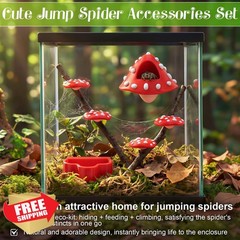 Feekoon Jumping Spider Enclosure Decor Kit 6 Pcs