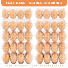 Lixavaer 100 Pack Clear Plastic Egg Cartons, 3×4,100Pack, transparent