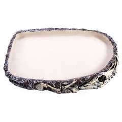 Reptile Water Bowl Feeding Dish for Bearded Dragon Turtle Snake Lizard