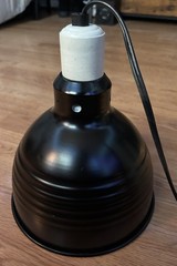 Terrarium Dome Lamp W/Switch for Any 5+ Gallon Tank Indoor Or Outdoor