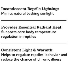 100W Basking Bulb Reptiles Infrared Heat Light Terrarium Lamp Indoor Use