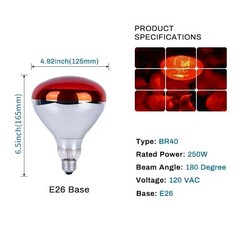 4 Pack 250W Infrared Heat Lamp Bulbs for Brooder, Chickens, Pets & Food